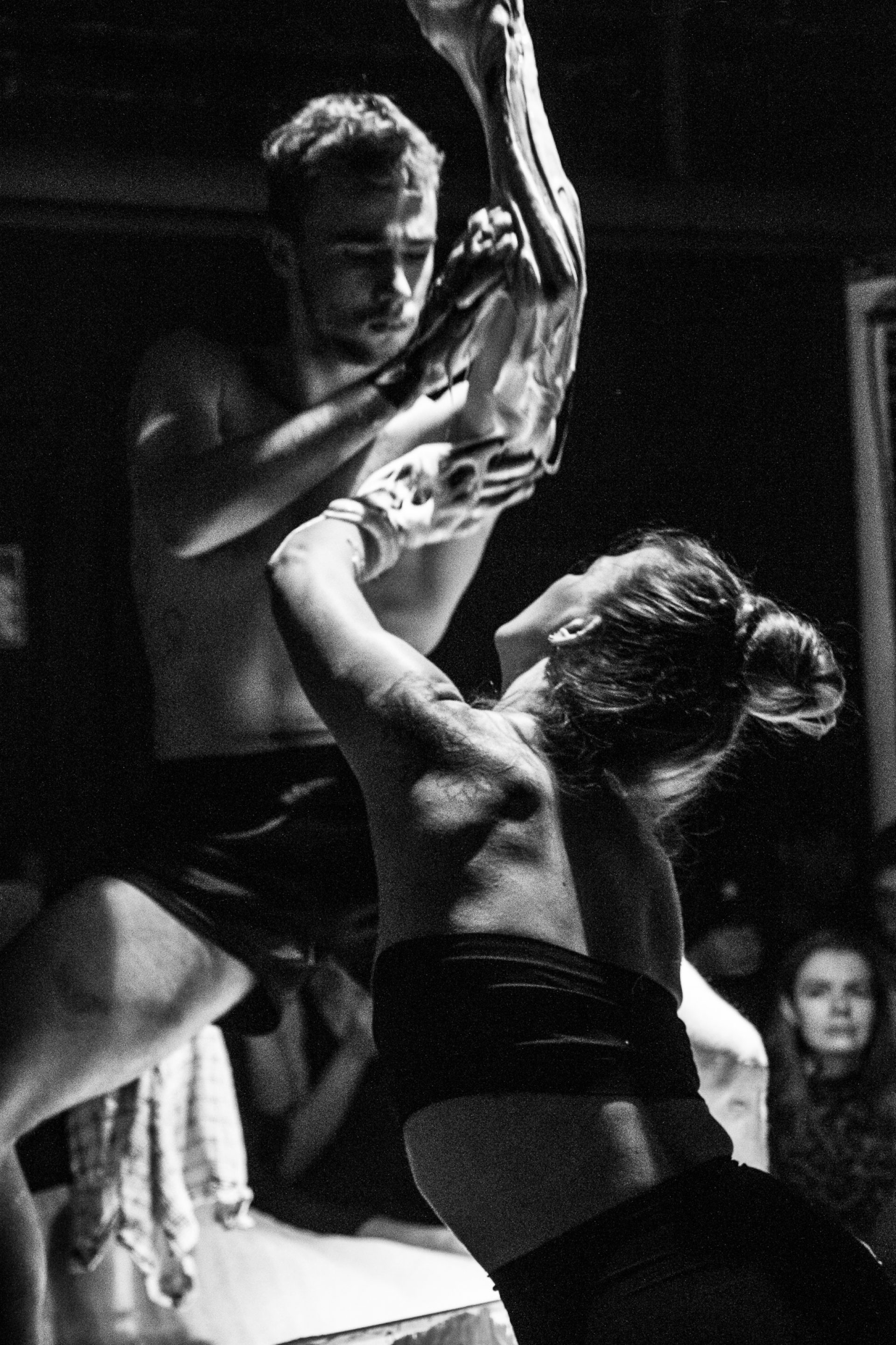 Silk Ivory Connection