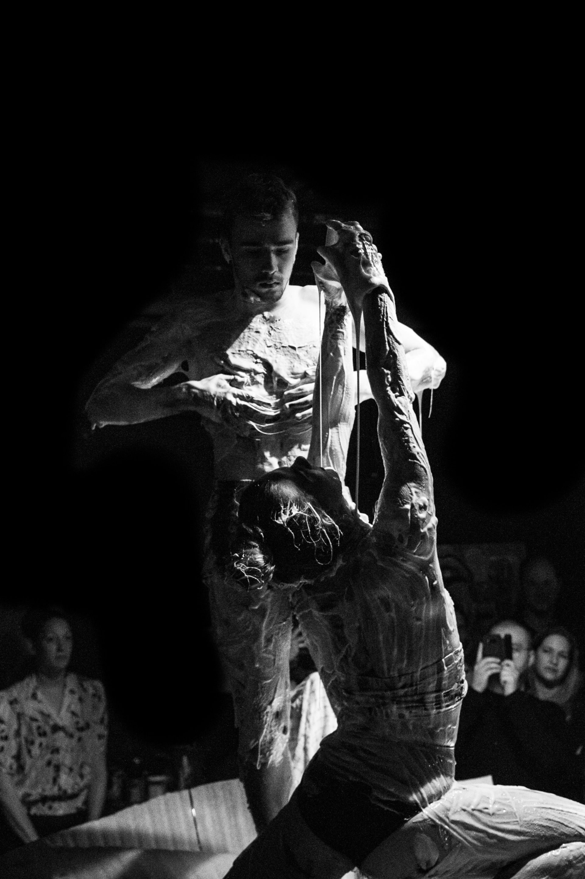 Silk Ivory Connection